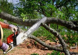 Soil Testing and Treatment in Ely, MN